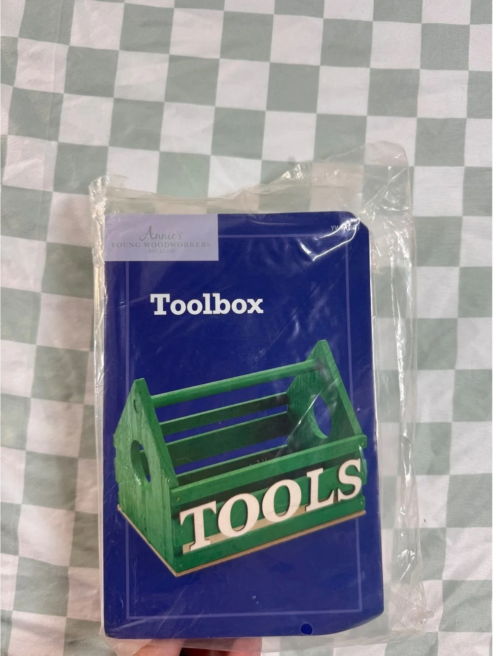 Annie's Young Woodworkers Toolbox Wooden Toy Kit